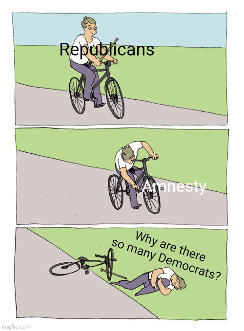 Bike Fall | Republicans; Amnesty; Why are there so many Democrats? | image tagged in memes,bike fall | made w/ Imgflip meme maker