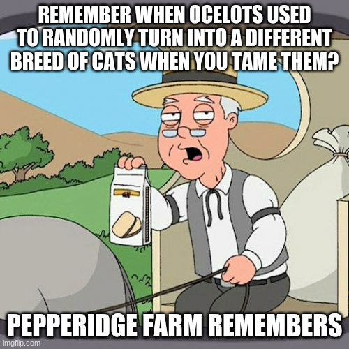 The good ol' non-bedrock days | REMEMBER WHEN OCELOTS USED TO RANDOMLY TURN INTO A DIFFERENT BREED OF CATS WHEN YOU TAME THEM? PEPPERIDGE FARM REMEMBERS | image tagged in memes,pepperidge farm remembers,minecraft,fun | made w/ Imgflip meme maker