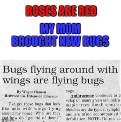 Wow this is news to me... | ROSES ARE RED; MY MOM BROUGHT NEW RUGS | image tagged in stupid people,how to | made w/ Imgflip meme maker