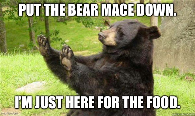 How about no bear | PUT THE BEAR MACE DOWN. I’M JUST HERE FOR THE FOOD. | image tagged in how about no bear | made w/ Imgflip meme maker