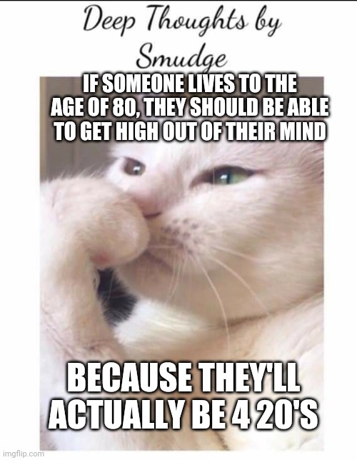 Smudge | IF SOMEONE LIVES TO THE AGE OF 80, THEY SHOULD BE ABLE TO GET HIGH OUT OF THEIR MIND; BECAUSE THEY'LL ACTUALLY BE 4 20'S | image tagged in smudge | made w/ Imgflip meme maker