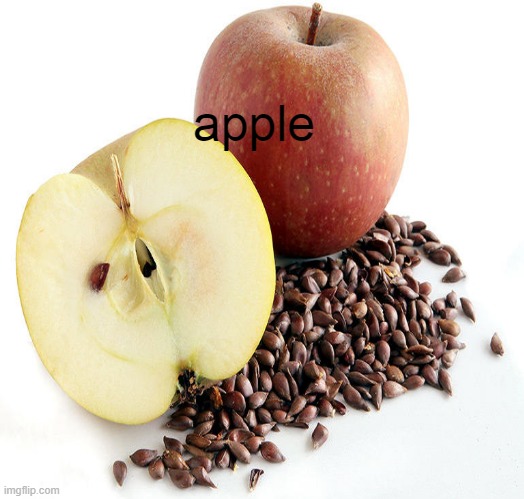 apple | image tagged in cool kids | made w/ Imgflip meme maker