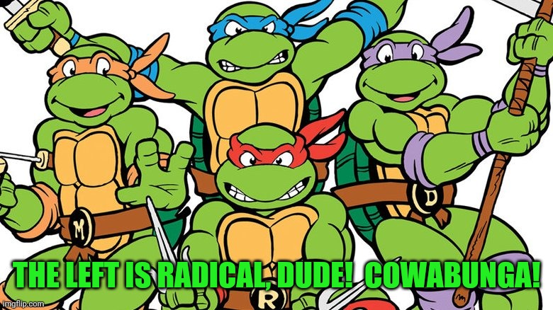 Teenage Mutant Ninja Turtles | THE LEFT IS RADICAL, DUDE!  COWABUNGA! | image tagged in teenage mutant ninja turtles | made w/ Imgflip meme maker