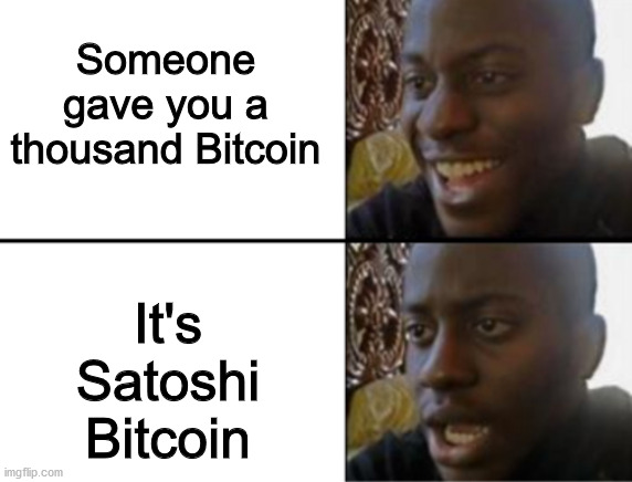 Bitcoin | Someone gave you a thousand Bitcoin; It's Satoshi Bitcoin | image tagged in oh yeah oh no | made w/ Imgflip meme maker