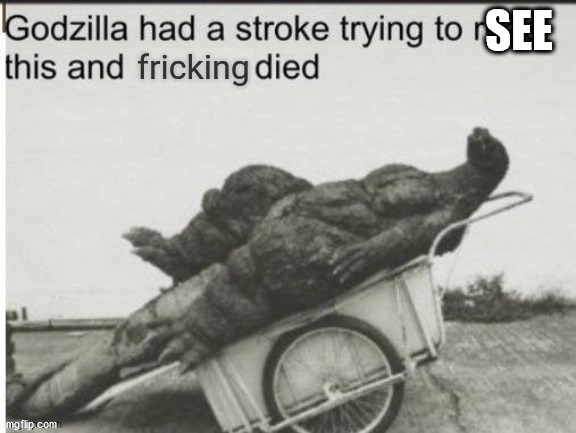 Godzilla had a stroke trying to read this and fricking died | SEE | image tagged in godzilla had a stroke trying to read this and fricking died | made w/ Imgflip meme maker