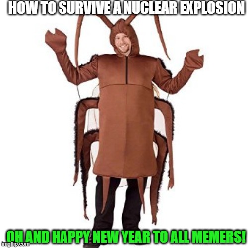 Buy a cockroach costume before traveling to North Korea... | HOW TO SURVIVE A NUCLEAR EXPLOSION; OH AND HAPPY NEW YEAR TO ALL MEMERS! | image tagged in cockroach | made w/ Imgflip meme maker