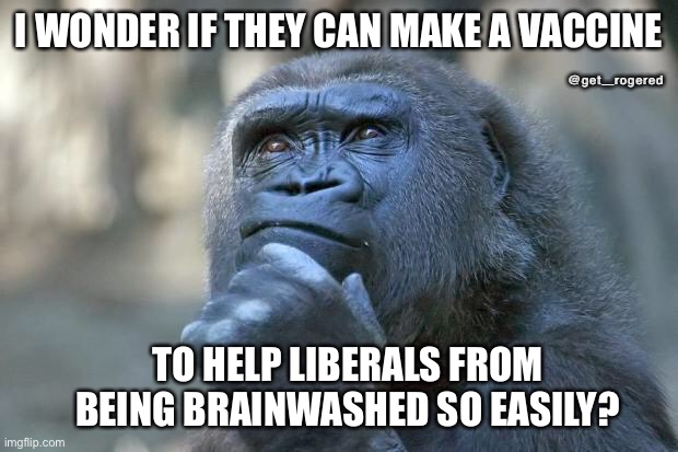 that is the question | I WONDER IF THEY CAN MAKE A VACCINE; @get_rogered; TO HELP LIBERALS FROM BEING BRAINWASHED SO EASILY? | image tagged in that is the question | made w/ Imgflip meme maker