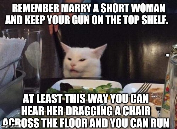Salad cat | REMEMBER MARRY A SHORT WOMAN AND KEEP YOUR GUN ON THE TOP SHELF. J M; AT LEAST THIS WAY YOU CAN HEAR HER DRAGGING A CHAIR ACROSS THE FLOOR AND YOU CAN RUN | image tagged in salad cat | made w/ Imgflip meme maker