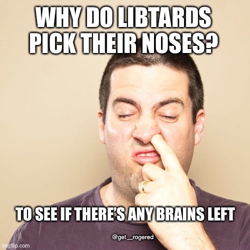 Libtard looking for a brain | WHY DO LIBTARDS PICK THEIR NOSES? TO SEE IF THERE’S ANY BRAINS LEFT; @get _rogered | image tagged in libtard looking for a brain | made w/ Imgflip meme maker