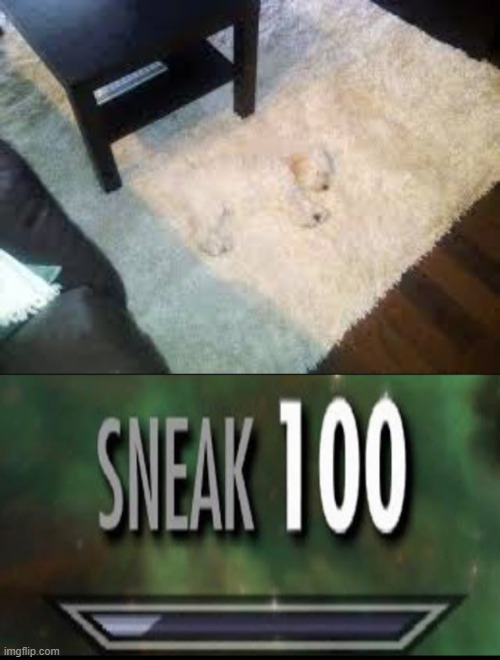 Dog are the master of stealth | image tagged in sneak 100,camouflage | made w/ Imgflip meme maker