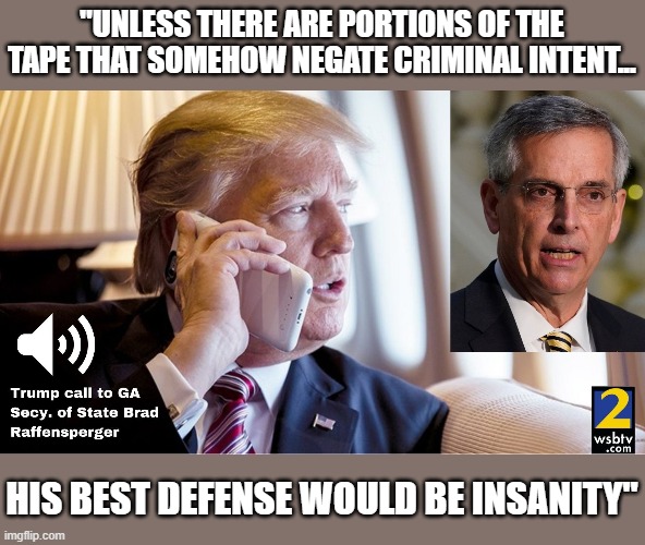 Former DOJ, IG says Trump's best legal defense would be "Insanity" | "UNLESS THERE ARE PORTIONS OF THE TAPE THAT SOMEHOW NEGATE CRIMINAL INTENT... HIS BEST DEFENSE WOULD BE INSANITY" | image tagged in trump,election fraud,election 2020,michael bromwich,criminal,loser | made w/ Imgflip meme maker