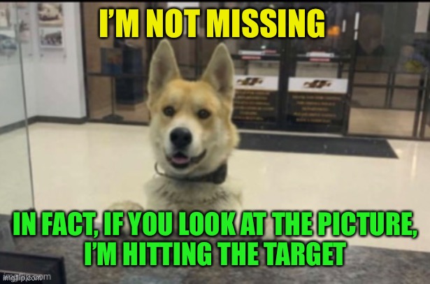 I’M NOT MISSING IN FACT, IF YOU LOOK AT THE PICTURE,
I’M HITTING THE TARGET | made w/ Imgflip meme maker