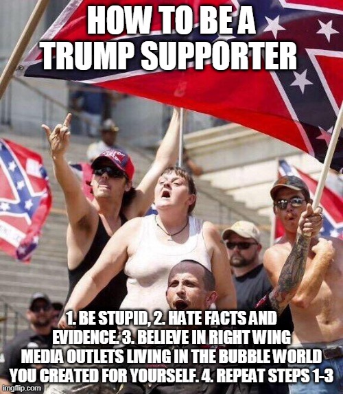 It takes an idiot to be a Trumper | HOW TO BE A TRUMP SUPPORTER; 1. BE STUPID, 2. HATE FACTS AND EVIDENCE. 3. BELIEVE IN RIGHT WING MEDIA OUTLETS LIVING IN THE BUBBLE WORLD YOU CREATED FOR YOURSELF. 4. REPEAT STEPS 1-3 | image tagged in donald trump,trump supporters,republicans,rednecks | made w/ Imgflip meme maker