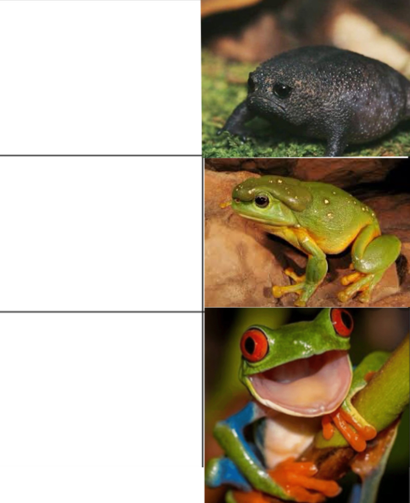 Frog hotline bling Blank Meme Template