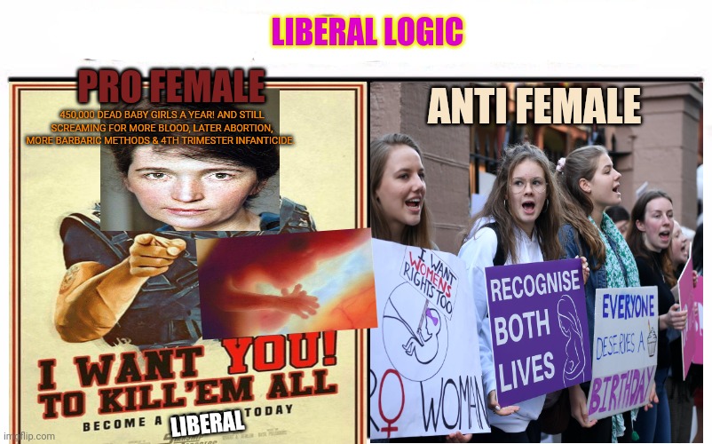 Liberal logic | LIBERAL LOGIC; PRO FEMALE; ANTI FEMALE; 450,000 DEAD BABY GIRLS A YEAR! AND STILL SCREAMING FOR MORE BLOOD, LATER ABORTION, MORE BARBARIC METHODS & 4TH TRIMESTER INFANTICIDE. LIBERAL | image tagged in liberal logic,pro life,feminism,crazy,liberals,politics lol | made w/ Imgflip meme maker