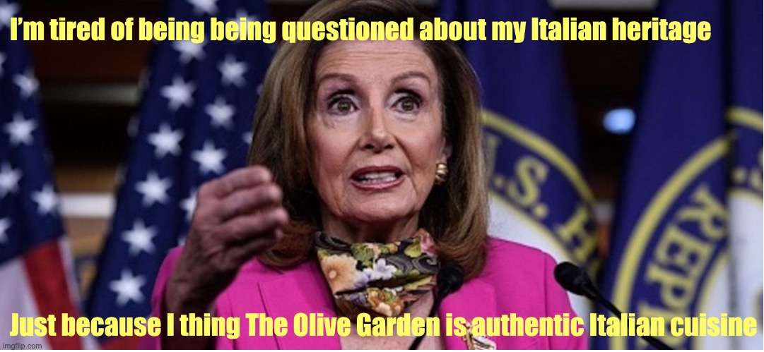Pelosi | image tagged in stupid | made w/ Imgflip meme maker