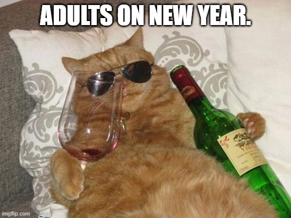 Funny Cat Birthday | ADULTS ON NEW YEAR. | image tagged in funny cat birthday | made w/ Imgflip meme maker