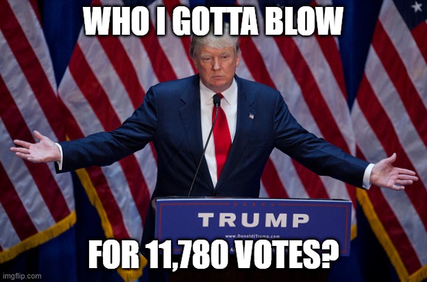 Donald Trump | WHO I GOTTA BLOW; FOR 11,780 VOTES? | image tagged in donald trump | made w/ Imgflip meme maker