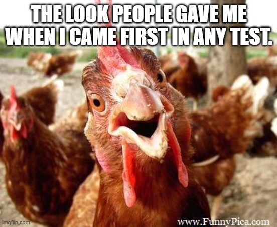Chicken | THE LOOK PEOPLE GAVE ME WHEN I CAME FIRST IN ANY TEST. | image tagged in chicken | made w/ Imgflip meme maker