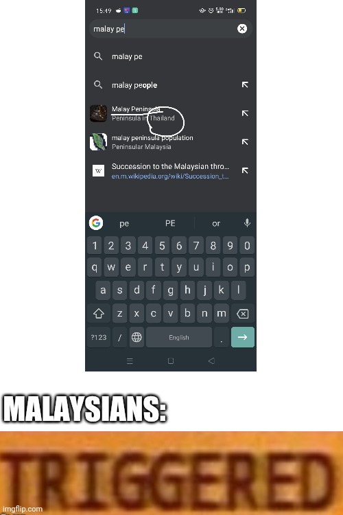 Why Google, WHY?!??! | MALAYSIANS: | image tagged in blank white template,triggered | made w/ Imgflip meme maker