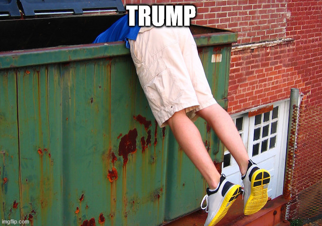 Dumpster Dive | TRUMP | image tagged in dumpster dive | made w/ Imgflip meme maker