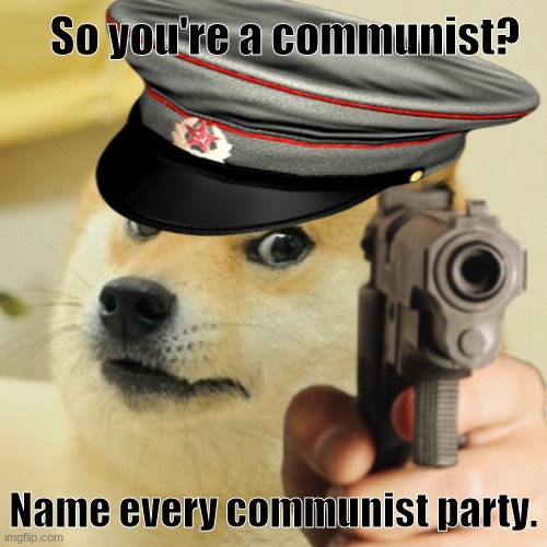 So you're a communist? Name every communist party. | So you're a communist? Name every communist party. | image tagged in doge | made w/ Imgflip meme maker