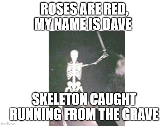 excuse me what the heck | ROSES ARE RED,
MY NAME IS DAVE; SKELETON CAUGHT RUNNING FROM THE GRAVE | image tagged in blank white template,cursed image,dank memes,roses are red violets are are blue | made w/ Imgflip meme maker