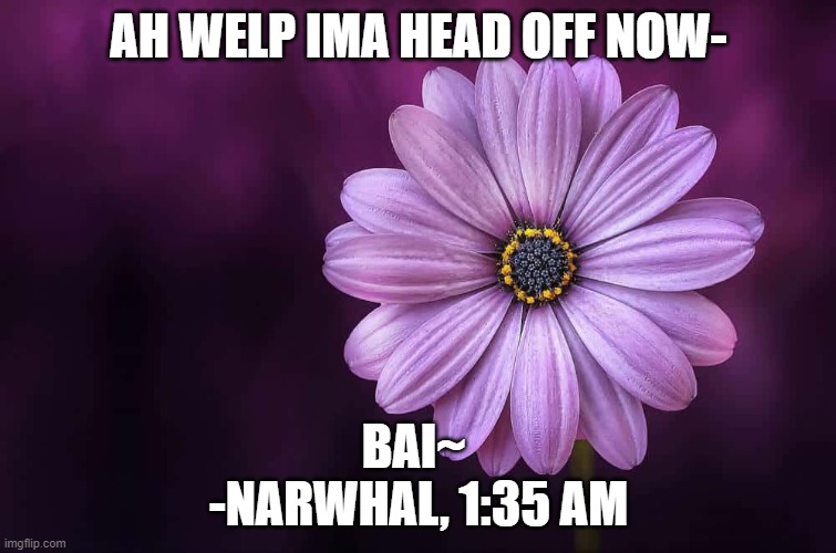 *waves* | AH WELP IMA HEAD OFF NOW-; BAI~ 
-NARWHAL, 1:35 AM | made w/ Imgflip meme maker