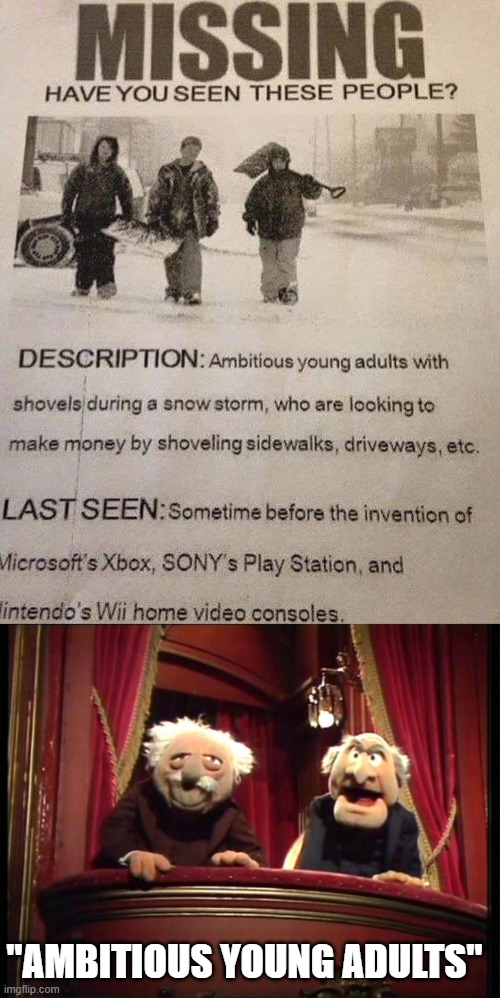 Snow Joke |  "AMBITIOUS YOUNG ADULTS" | image tagged in statler and waldorf,laughing,kids,helping,out | made w/ Imgflip meme maker