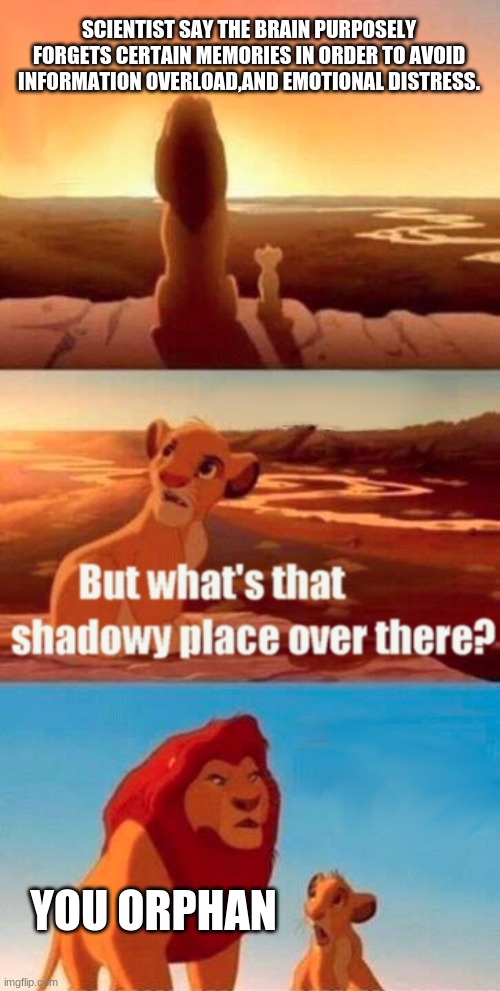 Simba Shadowy Place Meme | SCIENTIST SAY THE BRAIN PURPOSELY FORGETS CERTAIN MEMORIES IN ORDER TO AVOID INFORMATION OVERLOAD,AND EMOTIONAL DISTRESS. YOU ORPHAN | image tagged in memes,simba shadowy place | made w/ Imgflip meme maker