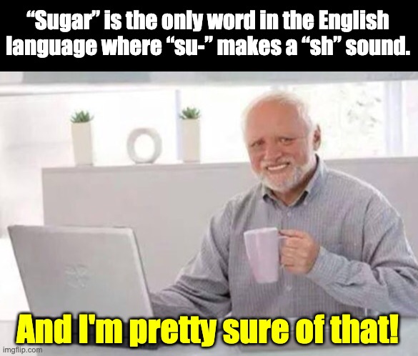 Sugar | “Sugar” is the only word in the English language where “su-” makes a “sh” sound. And I'm pretty sure of that! | image tagged in harold | made w/ Imgflip meme maker