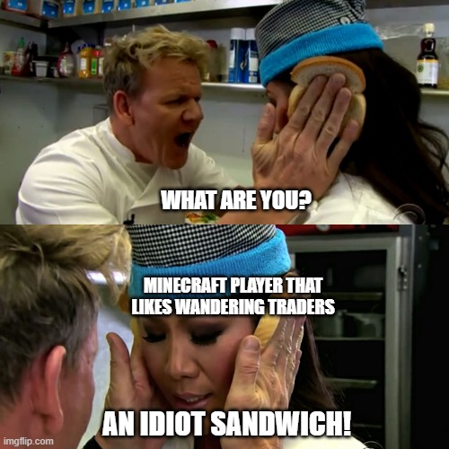 Idiot sandwich indeed | WHAT ARE YOU? MINECRAFT PLAYER THAT LIKES WANDERING TRADERS; AN IDIOT SANDWICH! | image tagged in gordon ramsay idiot sandwich | made w/ Imgflip meme maker