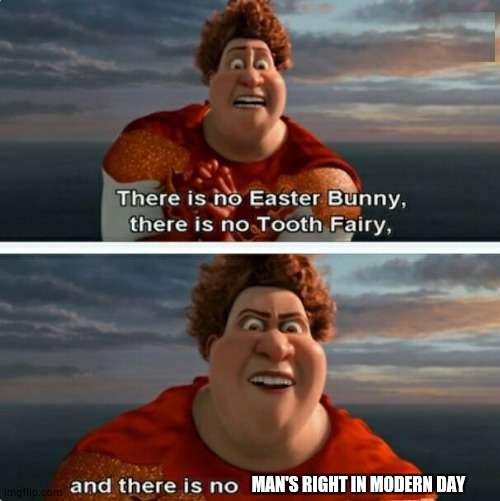 I do not know why man dont have rights |  MAN'S RIGHT IN MODERN DAY | image tagged in tighten megamind there is no easter bunny | made w/ Imgflip meme maker
