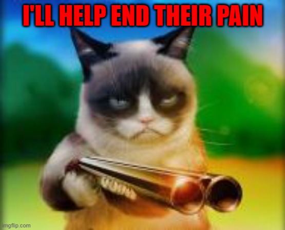 I'LL HELP END THEIR PAIN | made w/ Imgflip meme maker