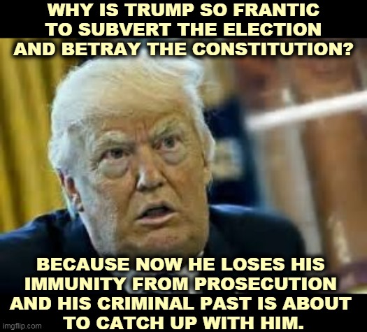 The REAL reason Trump won't concede. | WHY IS TRUMP SO FRANTIC TO SUBVERT THE ELECTION AND BETRAY THE CONSTITUTION? BECAUSE NOW HE LOSES HIS 
IMMUNITY FROM PROSECUTION 
AND HIS CRIMINAL PAST IS ABOUT 
TO CATCH UP WITH HIM. | image tagged in trump dilated loser,trump,big,loser,criminal,lawsuit | made w/ Imgflip meme maker
