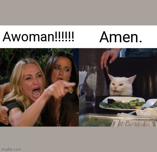Woman Yelling At Cat | Awoman!!!!!! Amen. | image tagged in memes,woman yelling at cat,congress,united states,amen,iq | made w/ Imgflip meme maker