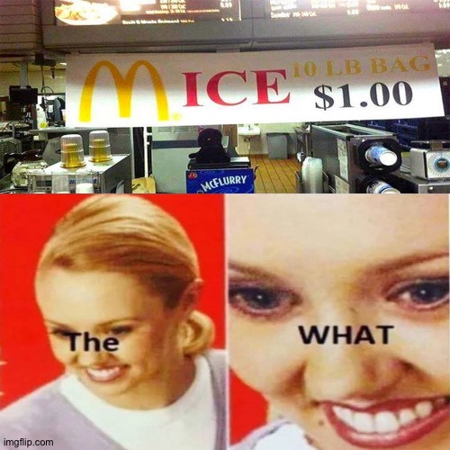 Mice?!?! | image tagged in the what,memes,funny,mcdonalds,ice,mice | made w/ Imgflip meme maker