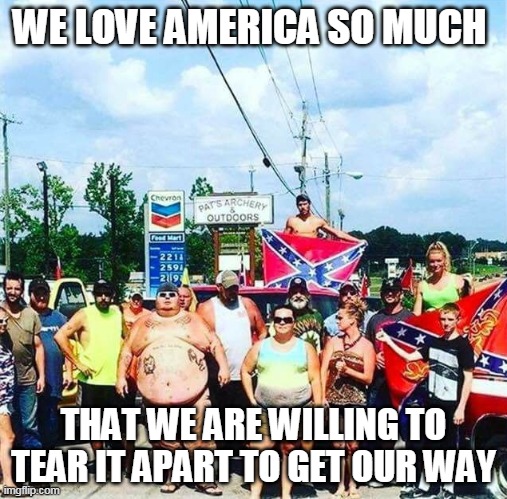 Because that's how democracy works right? | WE LOVE AMERICA SO MUCH; THAT WE ARE WILLING TO TEAR IT APART TO GET OUR WAY | image tagged in trump's base - redneck hillbilly voters | made w/ Imgflip meme maker