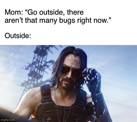 Cyberpunk | Mom: “Go outside, there aren’t that many bugs right now.”; Outside: | image tagged in blank white template,keanu reeves cyberpunk 2077,cyberpunk,funny,memes,gaming | made w/ Imgflip meme maker