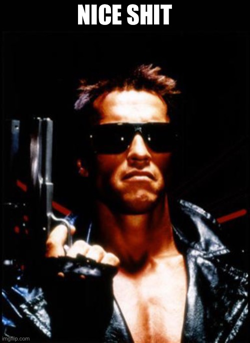 terminator arnold schwarzenegger | NICE SHIT | image tagged in terminator arnold schwarzenegger | made w/ Imgflip meme maker