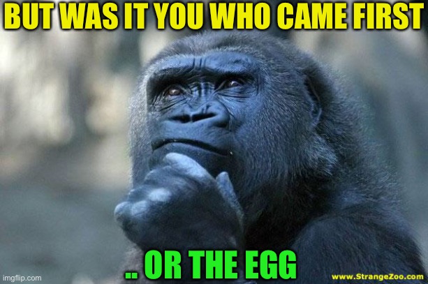 Deep Thoughts | BUT WAS IT YOU WHO CAME FIRST .. OR THE EGG | image tagged in deep thoughts | made w/ Imgflip meme maker