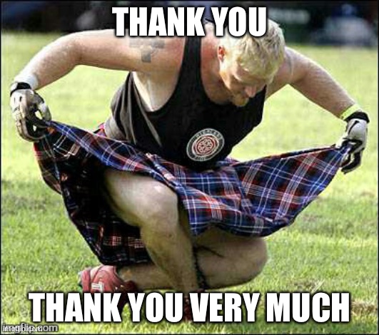 Bow | THANK YOU THANK YOU VERY MUCH | image tagged in bow | made w/ Imgflip meme maker