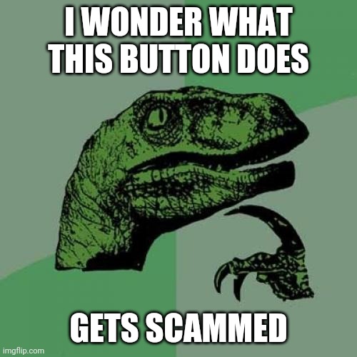 LOLLL I CAN'T BELIEVE IT | I WONDER WHAT THIS BUTTON DOES; GETS SCAMMED | image tagged in memes,philosoraptor | made w/ Imgflip meme maker
