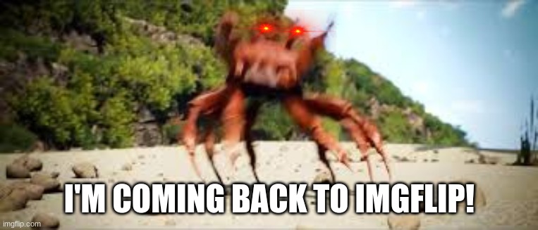 Y O S | I'M COMING BACK TO IMGFLIP! | image tagged in crab rave | made w/ Imgflip meme maker