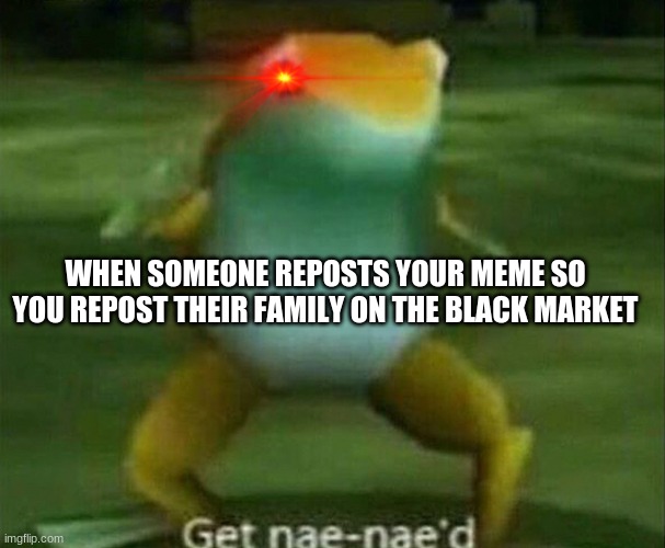 GAMER NAE NAE | WHEN SOMEONE REPOSTS YOUR MEME SO YOU REPOST THEIR FAMILY ON THE BLACK MARKET | image tagged in get nae-nae'd | made w/ Imgflip meme maker