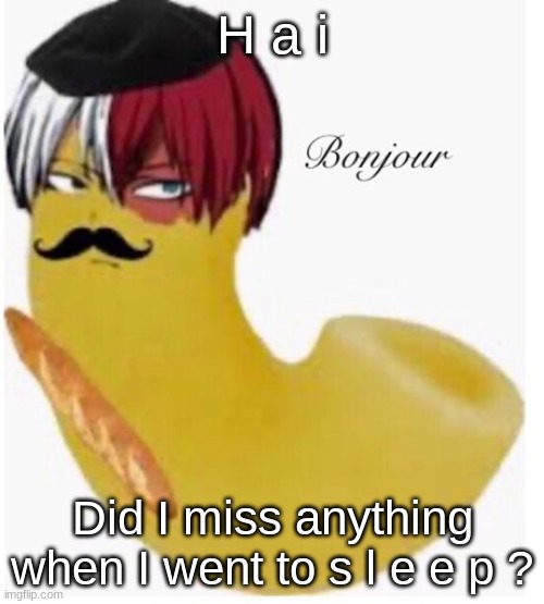 Todoroni Bonjour | H a i; Did I miss anything when I went to s l e e p ? | image tagged in todoroni bonjour | made w/ Imgflip meme maker