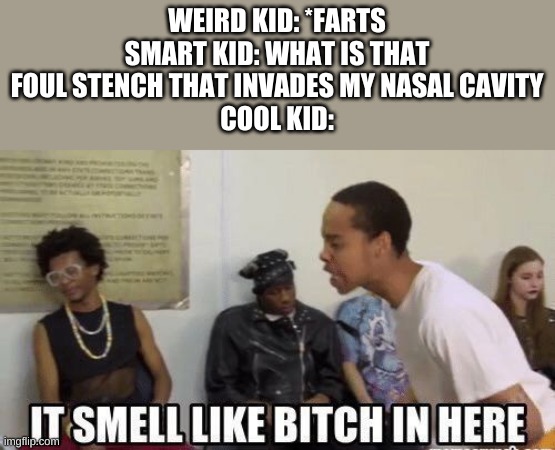 it smell like bitch in here | WEIRD KID: *FARTS
SMART KID: WHAT IS THAT FOUL STENCH THAT INVADES MY NASAL CAVITY
COOL KID: | image tagged in it smell like bitch in here | made w/ Imgflip meme maker