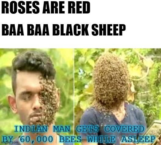 count them up to know | ROSES ARE RED; BAA BAA BLACK SHEEP; INDIAN MAN GETS COVERED BY 60,000 BEES WHILE ASLEEP | image tagged in bees,indian | made w/ Imgflip meme maker