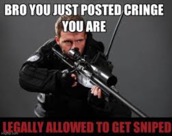 Bro you posted cringe | image tagged in bro you posted cringe | made w/ Imgflip meme maker