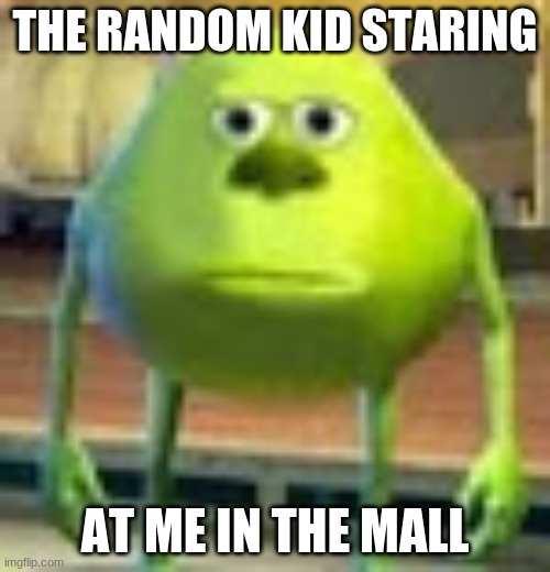 bruh | THE RANDOM KID STARING; AT ME IN THE MALL | image tagged in sully wazowski | made w/ Imgflip meme maker